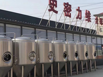 打安镇精酿啤酒设备厂—如何判断精酿啤酒设备的密封件需要更换？